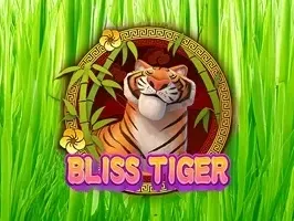 บลิส ไทเกอร์ game screenshot